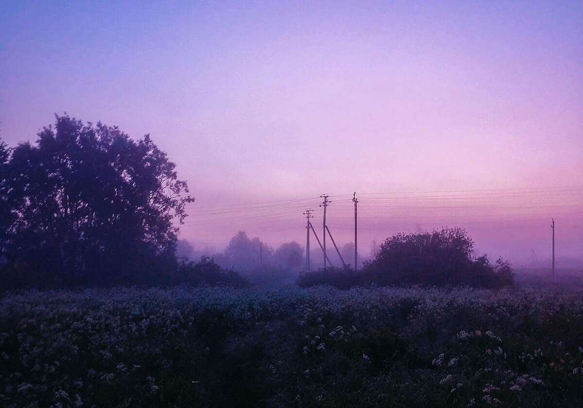 真正能保命的,黑料网今日-如何避免账号被封?转发前先想三秒