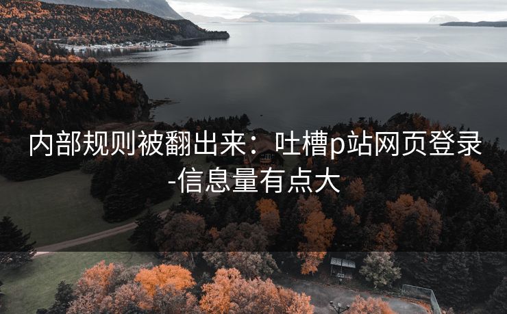 内部规则被翻出来：吐槽p站网页登录-信息量有点大