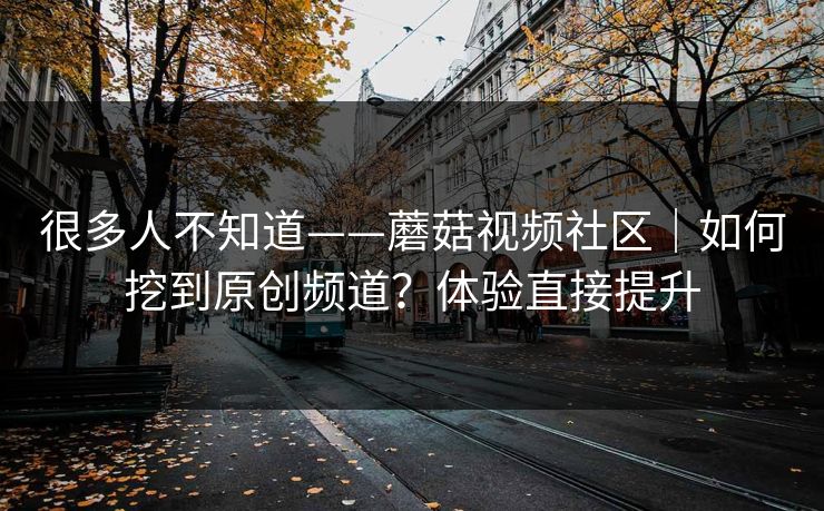 很多人不知道——蘑菇视频社区｜如何挖到原创频道？体验直接提升