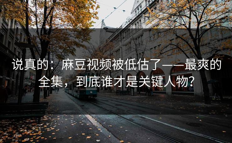 说真的：麻豆视频被低估了——最爽的全集，到底谁才是关键人物？