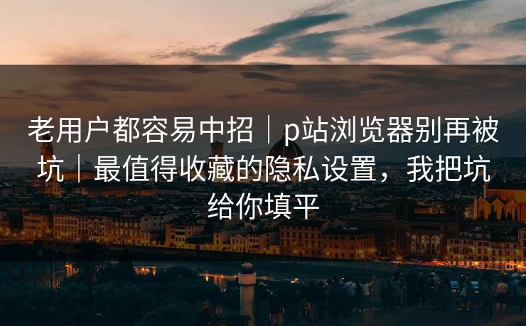 老用户都容易中招｜p站浏览器别再被坑｜最值得收藏的隐私设置，我把坑给你填平