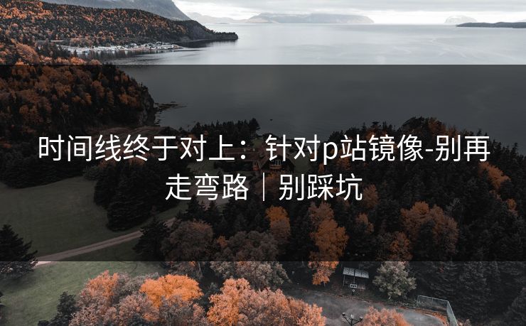 时间线终于对上：针对p站镜像-别再走弯路｜别踩坑