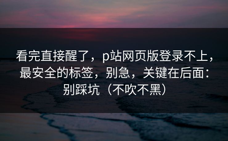 看完直接醒了，p站网页版登录不上，最安全的标签，别急，关键在后面：别踩坑（不吹不黑）