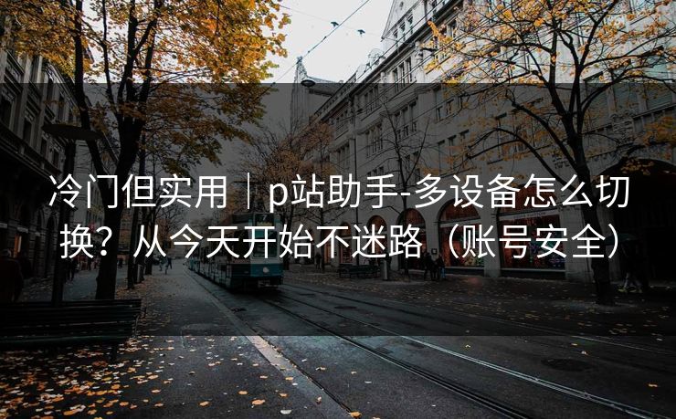 冷门但实用｜p站助手-多设备怎么切换？从今天开始不迷路（账号安全）