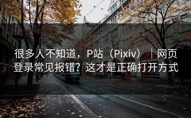 很多人不知道，P站（Pixiv）｜网页登录常见报错？这才是正确打开方式